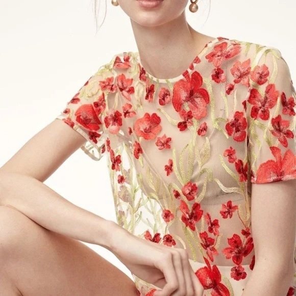 [XXS]Aritzia Little Moon Hoya Scarlet Poppy Floral Embroidered Sheer Top Blouse - Picture 1 of 7